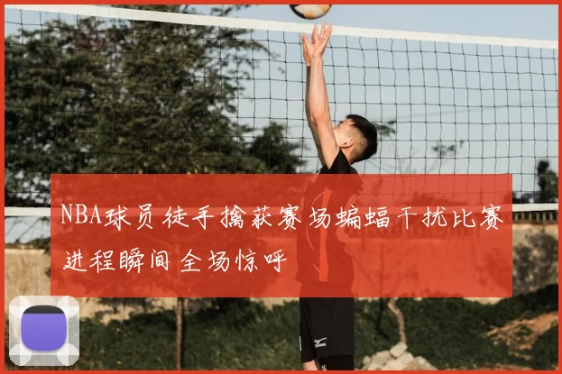 NBA球员徒手擒获赛场蝙蝠干扰比赛进程瞬间全场惊呼