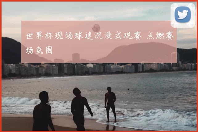 世界杯现场球迷沉浸式观赛 点燃赛场氛围