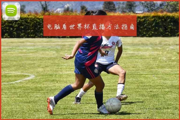 电脑看世界杯直播方法指南