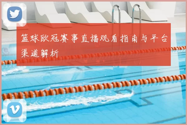 篮球欧冠赛事直播观看指南与平台渠道解析