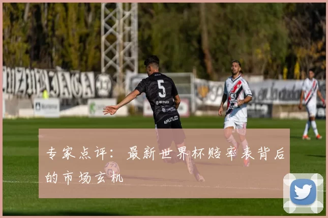 专家点评:最新世界杯赔率表背后的市场玄机