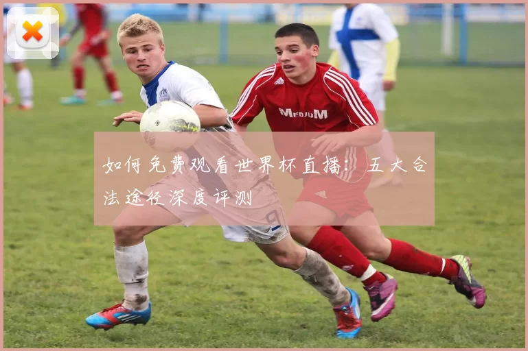 如何免费观看世界杯直播：五大合法途径深度评测