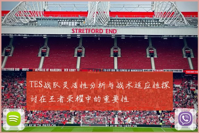 TES战队灵活性分析与战术适应性探讨在王者荣耀中的重要性