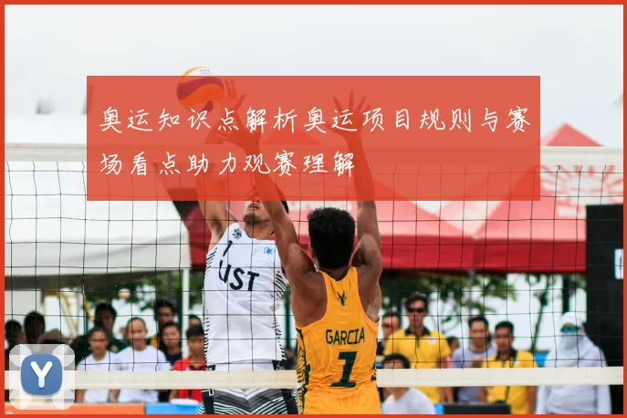 奥运知识点解析奥运项目规则与赛场看点助力观赛理解