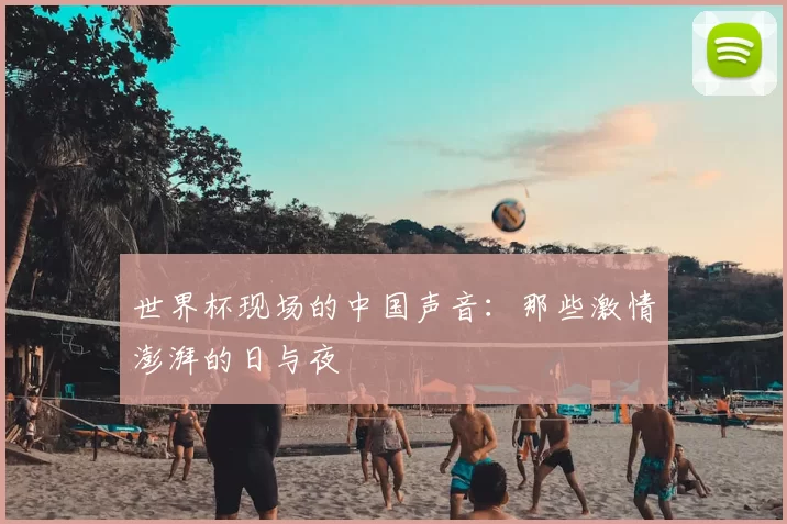 世界杯现场的中国声音:那些激情澎湃的日与夜