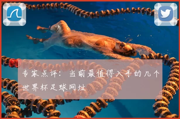 专家点评:当前最值得入手的几个世界杯足球网址