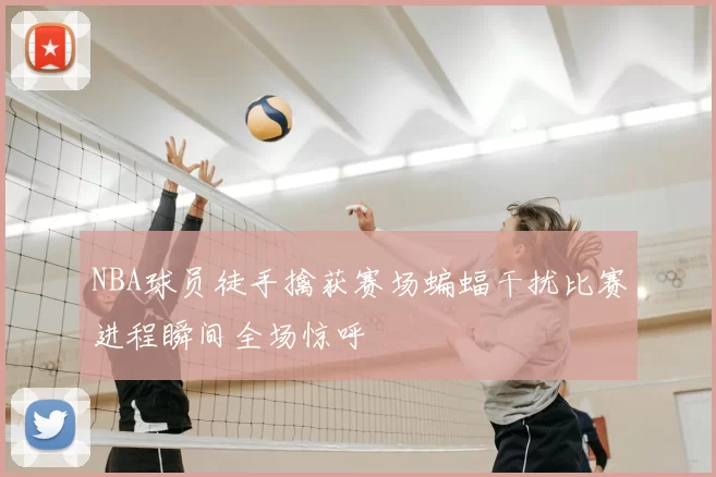 NBA球员徒手擒获赛场蝙蝠干扰比赛进程瞬间全场惊呼