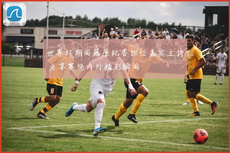 世界杯期间藤原纪香担任嘉宾主持 分享赛场内外精彩瞬间