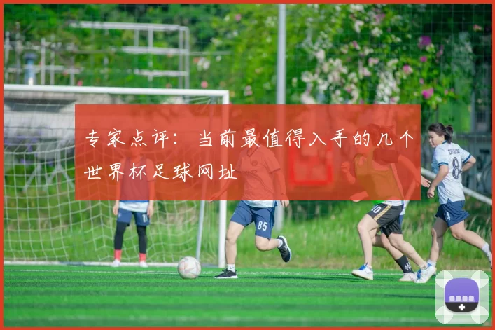 专家点评:当前最值得入手的几个世界杯足球网址