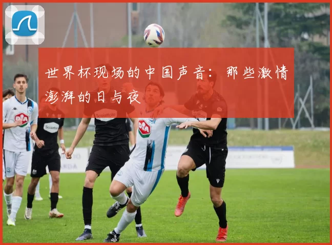 世界杯现场的中国声音:那些激情澎湃的日与夜