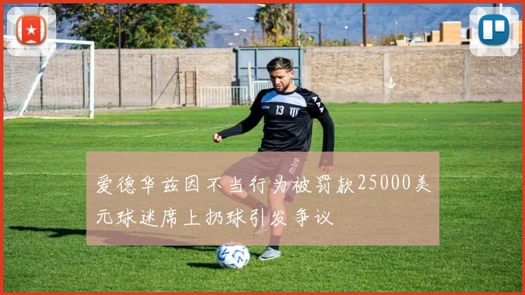 爱德华兹因不当行为被罚款25000美元球迷席上扔球引发争议