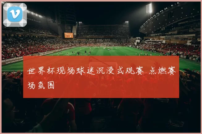 世界杯现场球迷沉浸式观赛 点燃赛场氛围