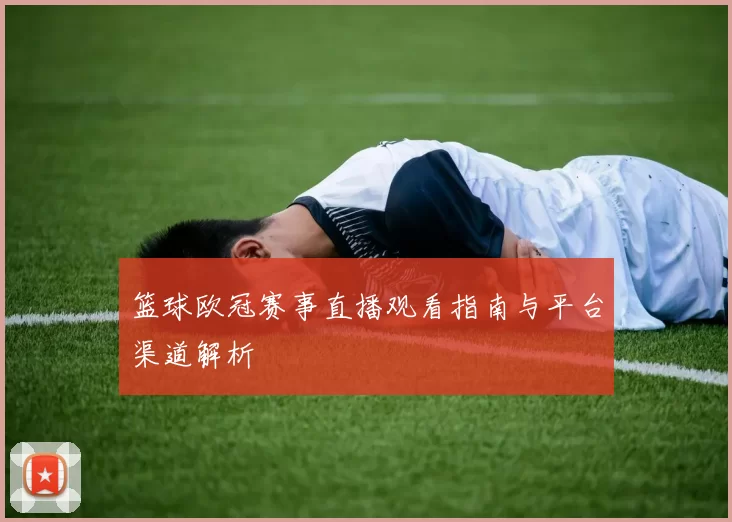 篮球欧冠赛事直播观看指南与平台渠道解析