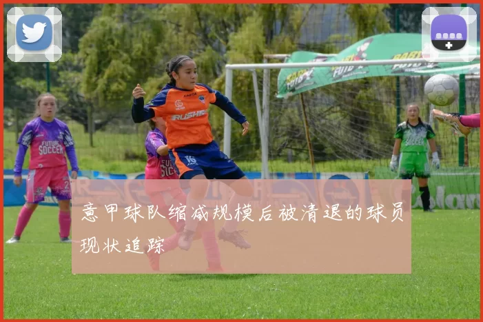 意甲球队缩减规模后被清退的球员现状追踪