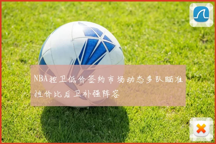 NBA控卫低价签约市场动态多队瞄准性价比后卫补强阵容